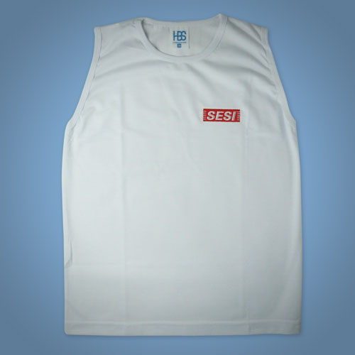 camiseta sesi regata